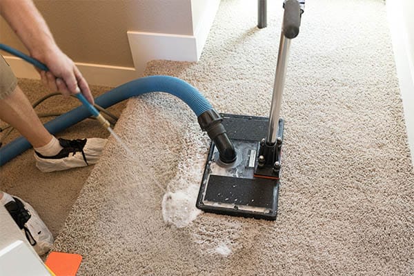Disinfect Carpet With Vinegar And Steam